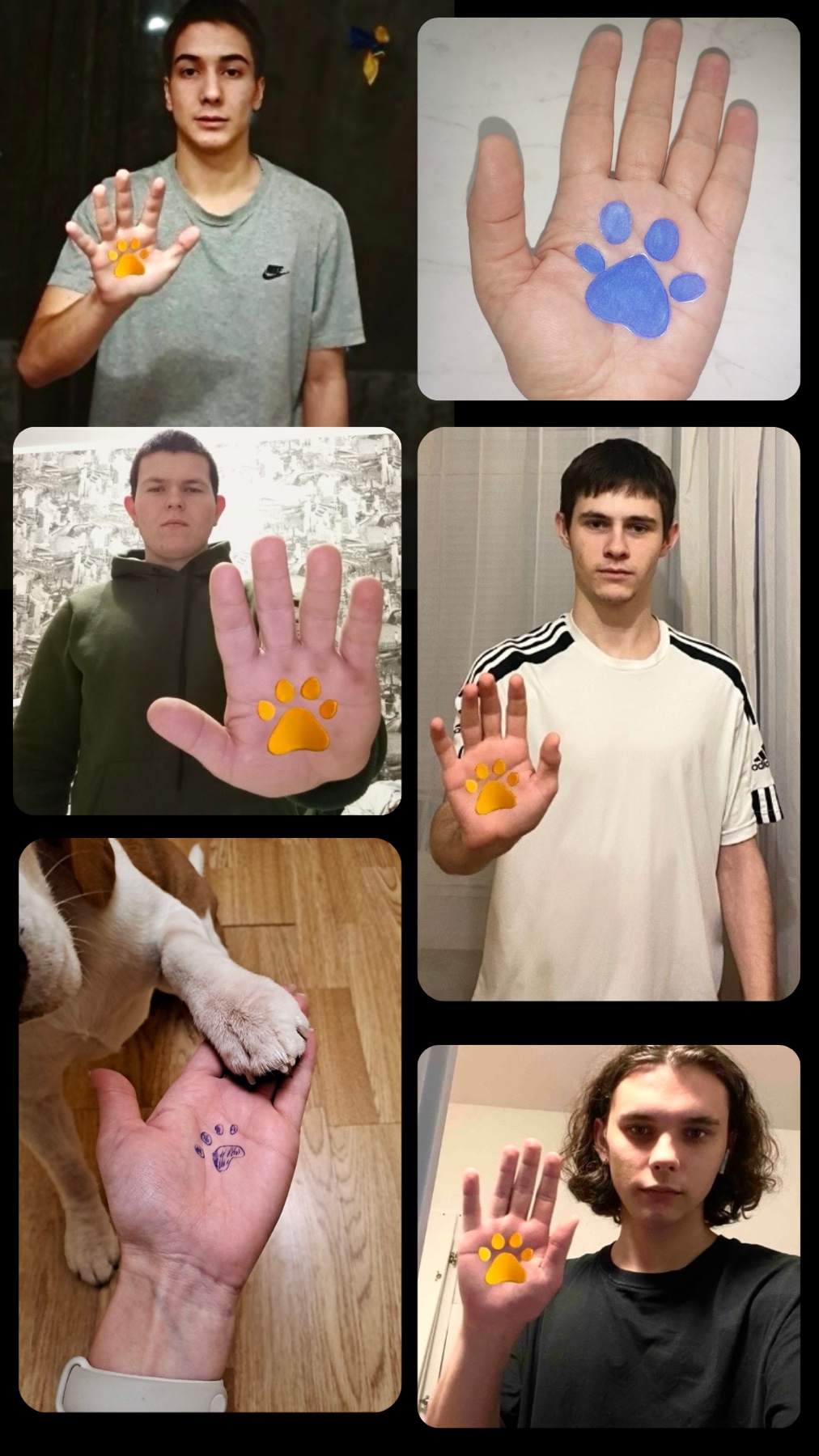 Всеукраїнський флешмоб “Лапка підтримки 2.0”