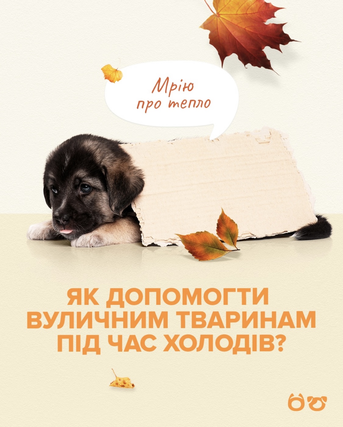 Всеукраїнський флешмоб “Лапка підтримки 2.0”